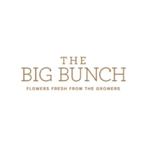 The Big Bunch 300x300
