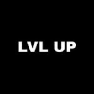 300X300 LVL UP