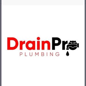 Drain Pro Logo 300x300