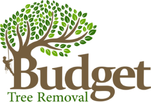 budget tree removel logo 300x205