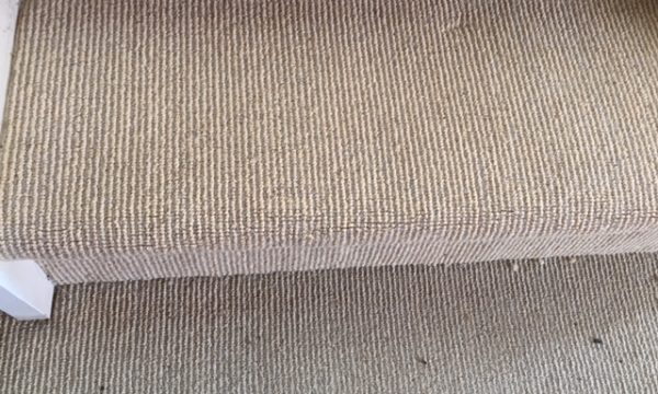Emergency Carpet Cleaning